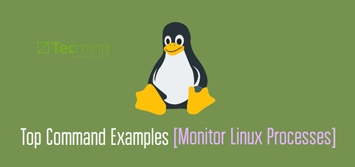 16 Contoh Perintah Teratas di Linux [Monitor Proses Linux]